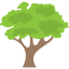 احترام البيئة